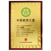 中國能源之星
